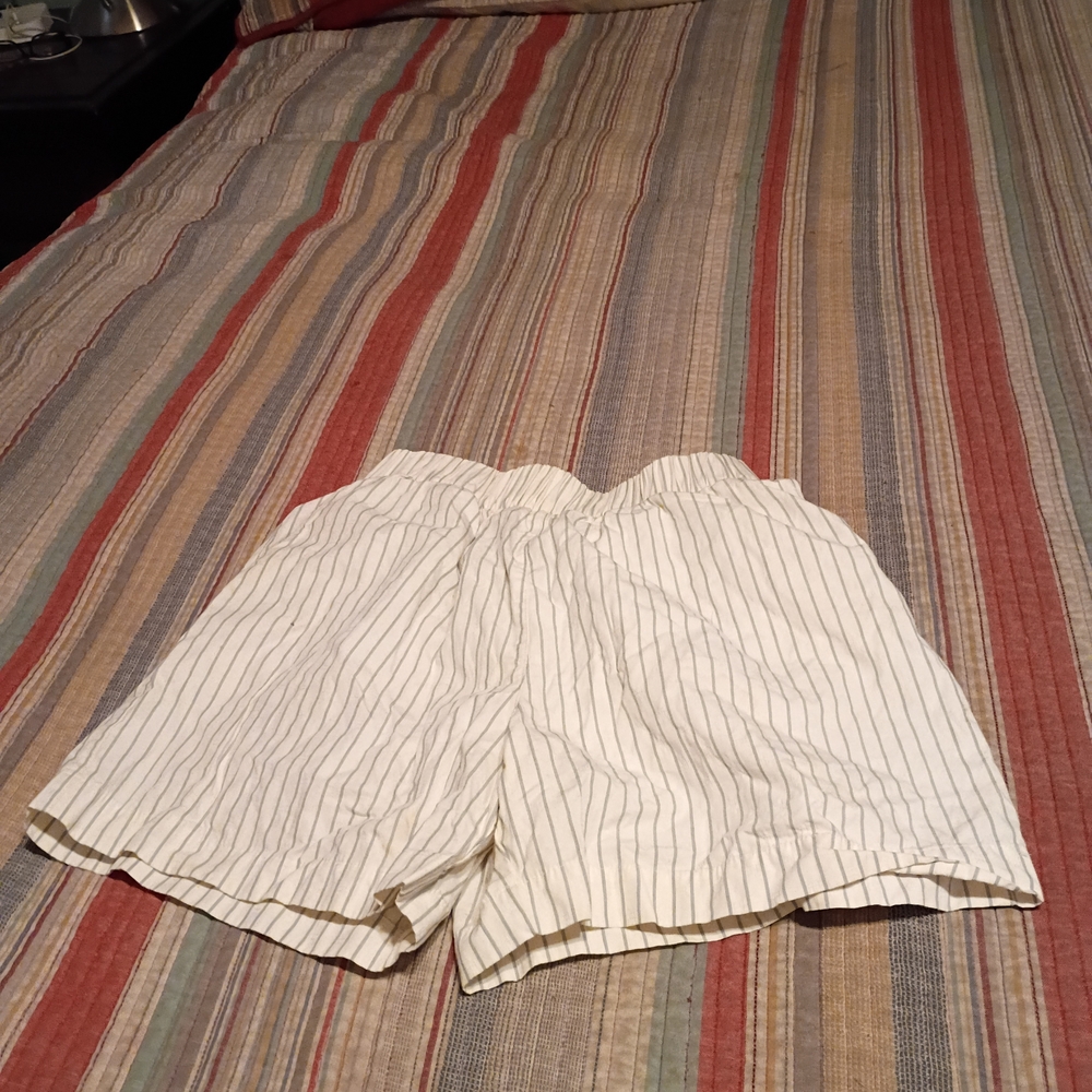 Anine Bing White Pinstripe Shorts
